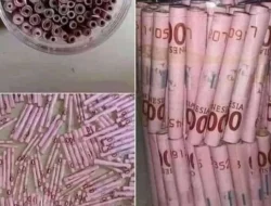 Cuti Bersama Mulai Dari Tanggal 19 April 2023 dan THR Harus Sebelum 18 April 2023