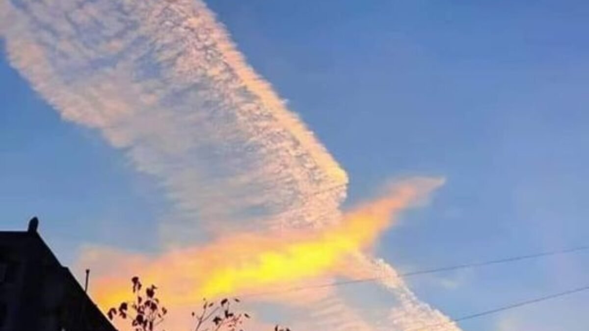 Awan Terbentuk Seperti Burung Phoenix, Artinya Apa? Awan Terbentuk Seperti Burung Phoenix, Artinya Apa?