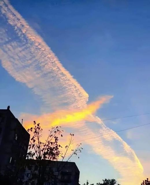 Awan Terbentuk Seperti Burung Phoenix, Artinya Apa?