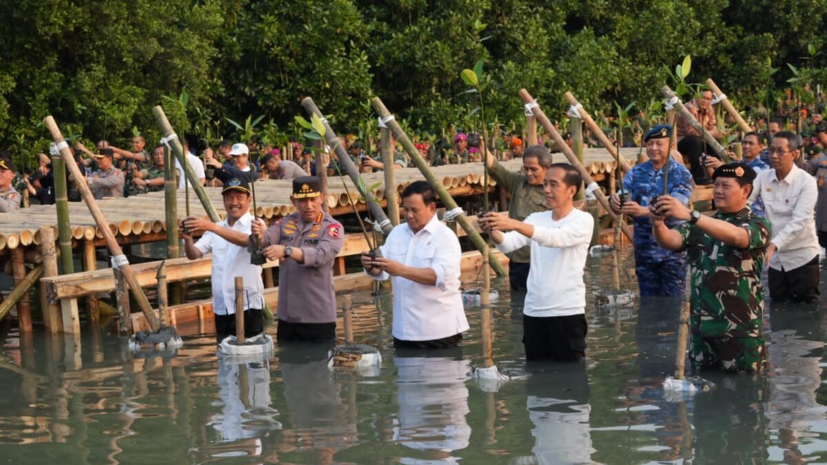 Tanam Mangrove Secara Serentak Mabes TNI Raih Rekor Muri