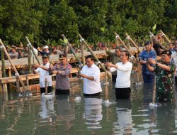 Tanam Mangrove Secara Serentak Mabes TNI Raih Rekor Muri