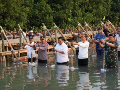Tanam Mangrove Secara Serentak Mabes TNI Raih Rekor Muri