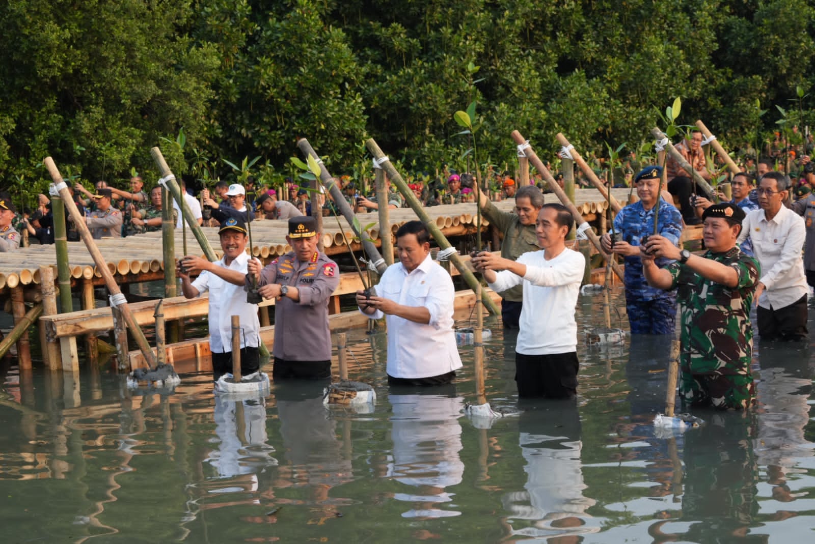 Tanam Mangrove Secara Serentak Mabes TNI Raih Rekor Muri