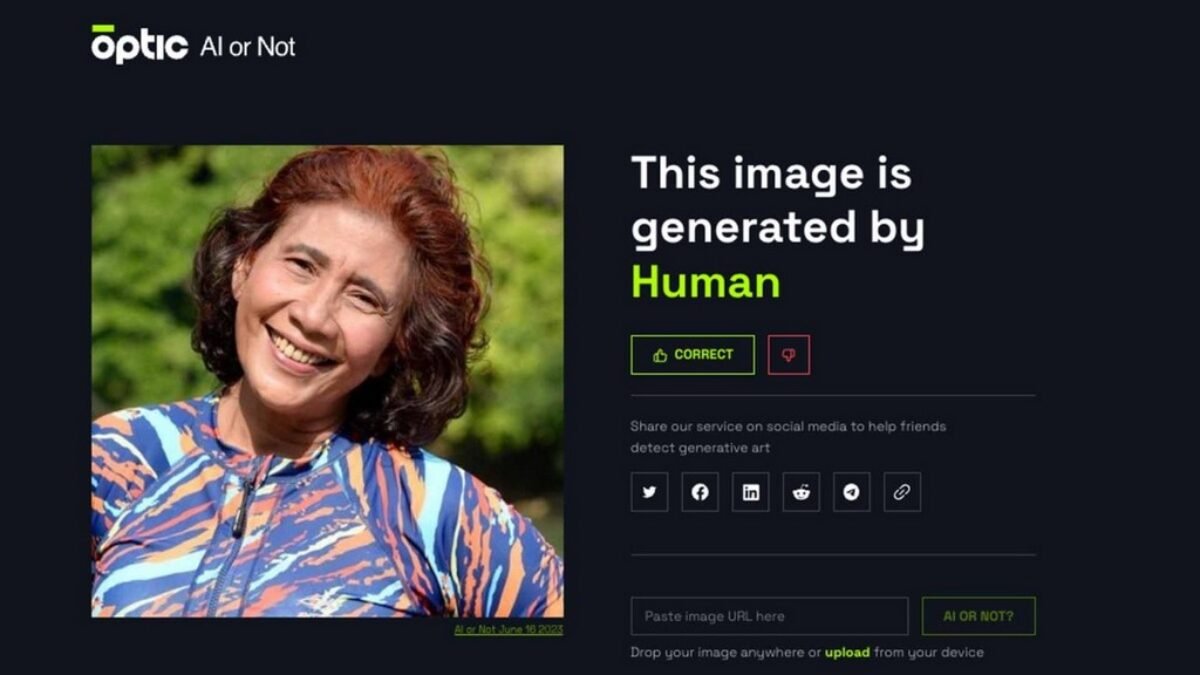 Mendeteksi Gambar/Foto Hasil AI Atau Bukan, Klik Ini Biar Jelas