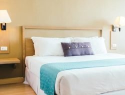 Daftar Model dan Harga Produk Bantal Reveire Terbaru 2023