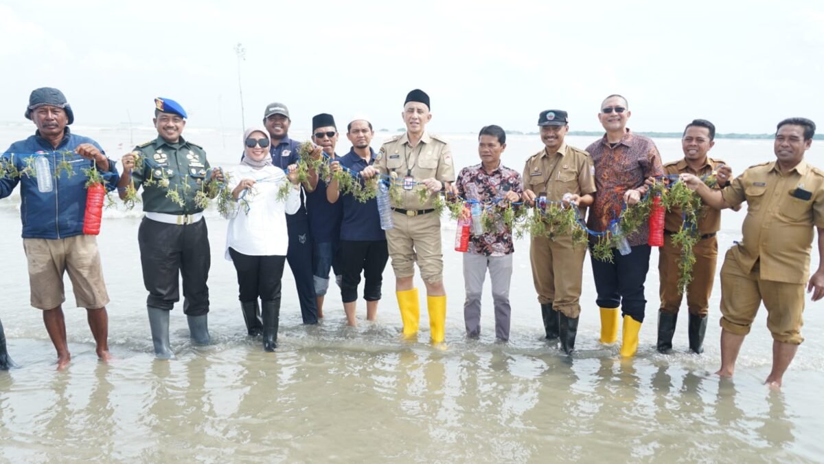 Budidaya Perdana Rumput Laut di Bangkalan, Pj Bupati Mendorong Pembangunan Ekonomi Lokal Budidaya Perdana Rumput Laut di Bangkalan, Pj Bupati Mendorong Pembangunan Ekonomi Lokal