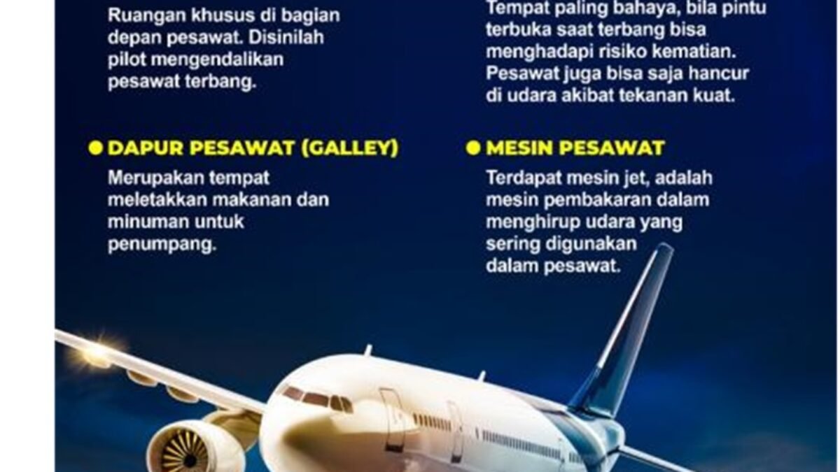 Status Kewarganegaraan Bayi yang Lahir di Pesawat