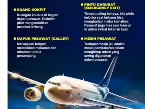 Status Kewarganegaraan Bayi yang Lahir di Pesawat