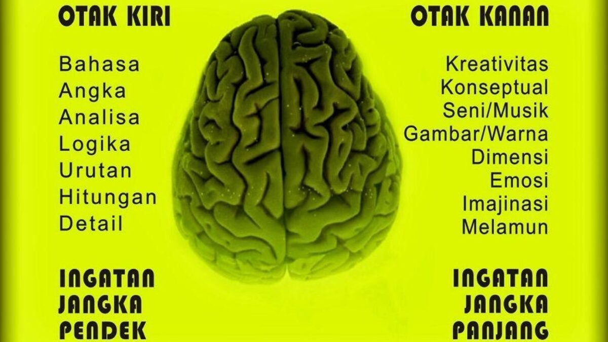 Cara Kerja Otak Pria dan Wanita Dalam Melihat Cinta