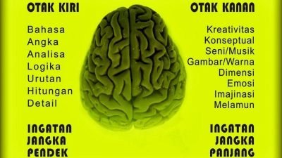 Cara Kerja Otak Pria dan Wanita Dalam Melihat Cinta