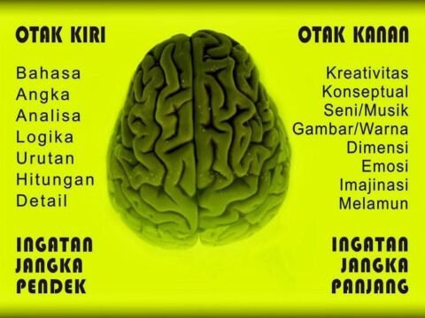 Cara Kerja Otak Pria dan Wanita Dalam Melihat Cinta