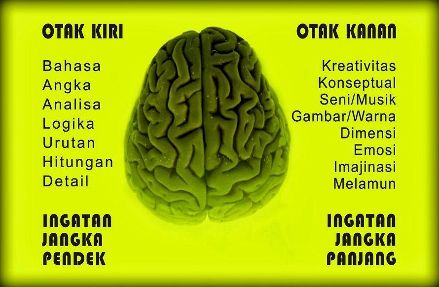 Cara Kerja Otak Pria dan Wanita Dalam Melihat Cinta