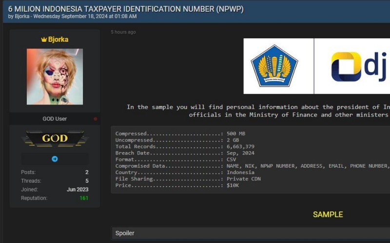 Heboh! Data 6 Juta NPWP Bocor, Kominfo Desak DJP Segera Beri Klarifikasi