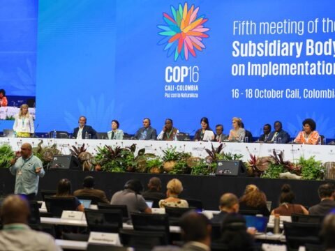 Generasi Muda Indonesia Bersiap Jadi Aktor Transformatif di COP16: Berjuang Demi Biodiversitas dan Keadilan Iklim