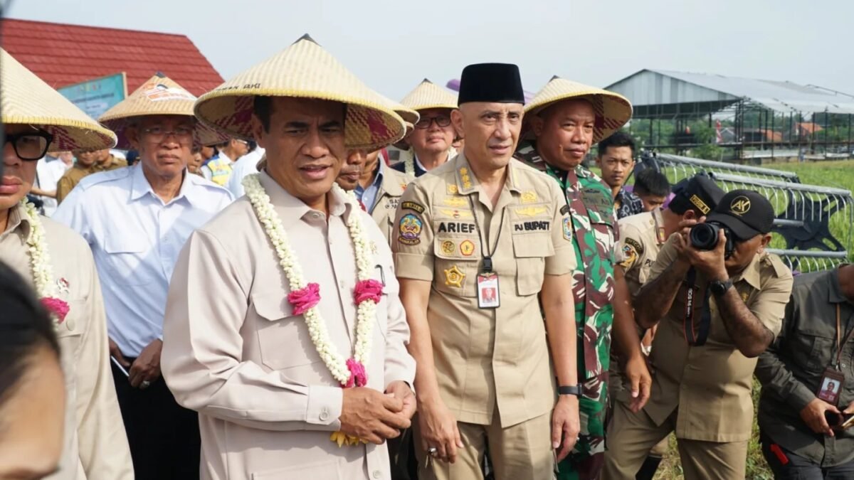 Amran Sulaiman: Jika Seluruh Kabupaten Bergerak Ala Bangkalan, Swasembada Pangan dalam Genggaman Amran Sulaiman: Jika Seluruh Kabupaten Bergerak Ala Bangkalan, Swasembada Pangan dalam Genggaman