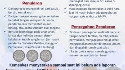 Virus HMPV Ditemukan di Indonesia