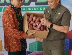 Kabupaten Bangkalan Resmi Ekspor Perdana Ubi-Ubian ke Pasar Internasional