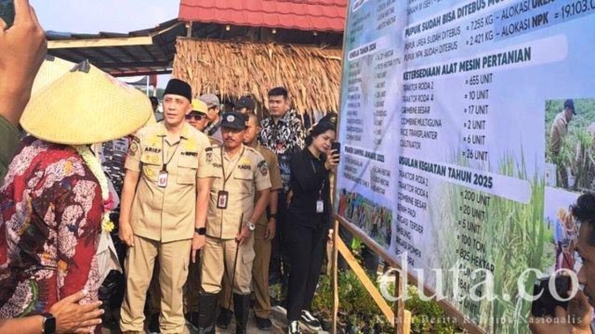 Kabupaten Bangkalan Menjadi Lumbung Padi Nasional Tinggal Butuh Jalan Tani Dan Kabupaten Mulus