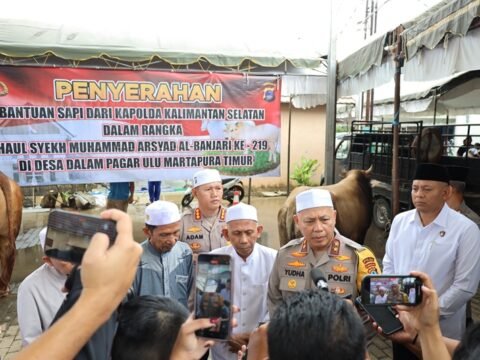 Kapolda Kalsel Serahkan 5 Ekor Sapi untuk Haul ke-219 Syekh Muhammad Arsyad Al Banjari