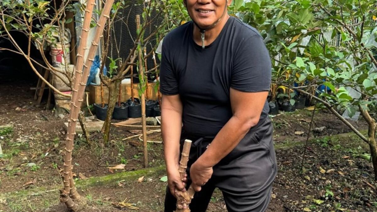 Anang Iskandar Mencintai Tanah, Menanam Masa Depan