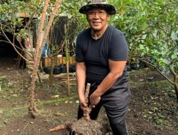 Anang Iskandar Mencintai Tanah, Menanam Masa Depan