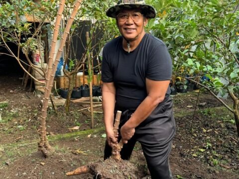 Anang Iskandar Mencintai Tanah, Menanam Masa Depan