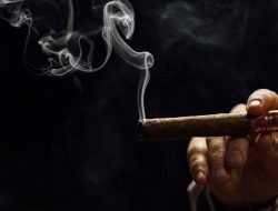 Memilih dan Menikmati Cerutu Menjaga Cita Rasa Cerutu