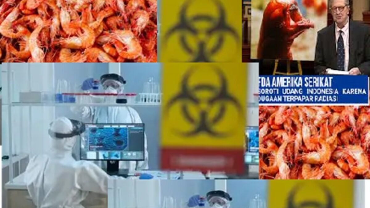 Misteri Cesium-137 di Cikande: Dari Udang Beku ke Pabrik Baja Misteri Cesium-137 di Cikande: Dari Udang Beku ke Pabrik Baja