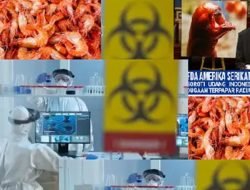 Misteri Cesium-137 di Cikande: Dari Udang Beku ke Pabrik Baja