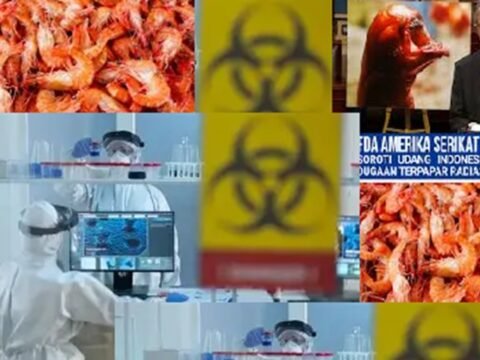 Misteri Cesium-137 di Cikande: Dari Udang Beku ke Pabrik Baja