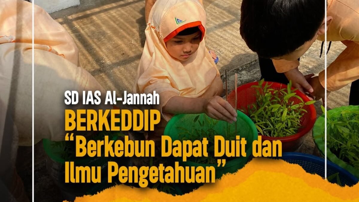 Berkeddip: Ketika Kebun di Belakang Kelas Menjadi Laboratorium Hidroponik yang Hidup