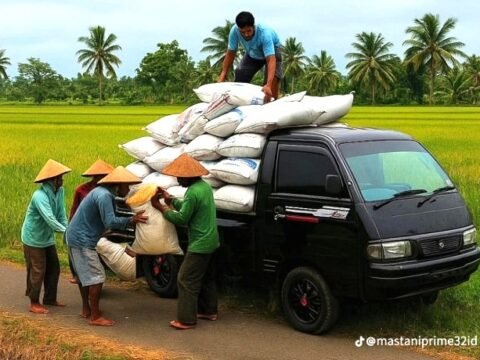 Primadona Petani di Kota “Pusere Pulau Jawa”