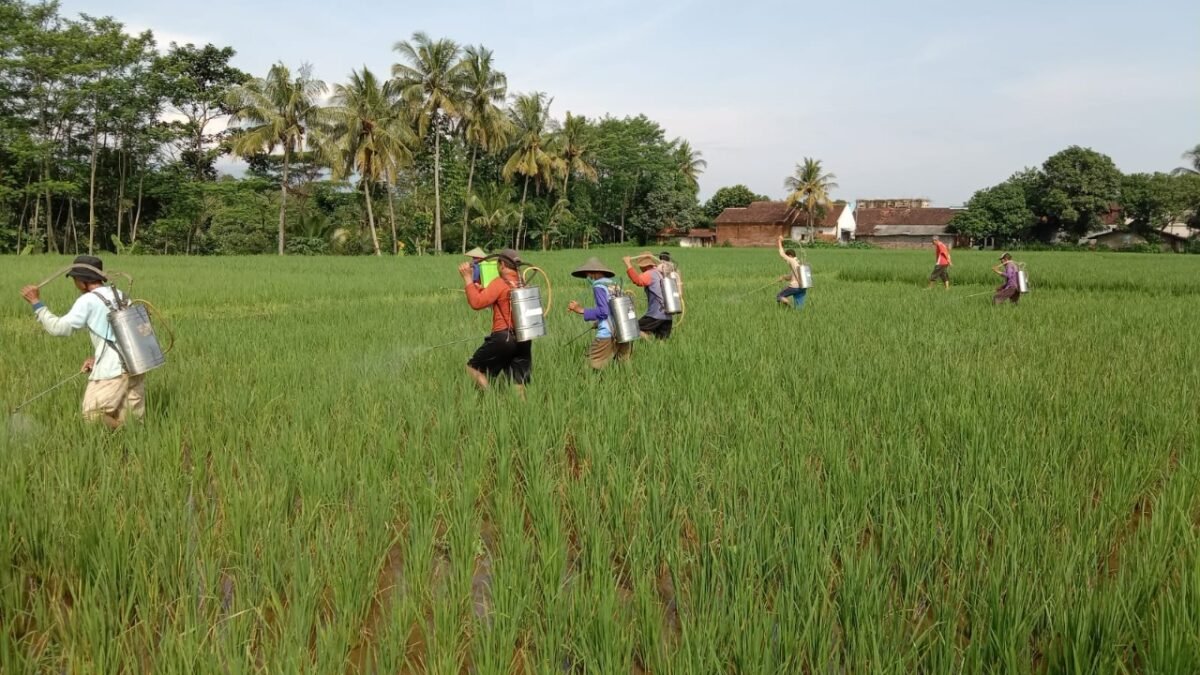 Menyederhanakan Regulasi, Menuju Swasembada Pangan