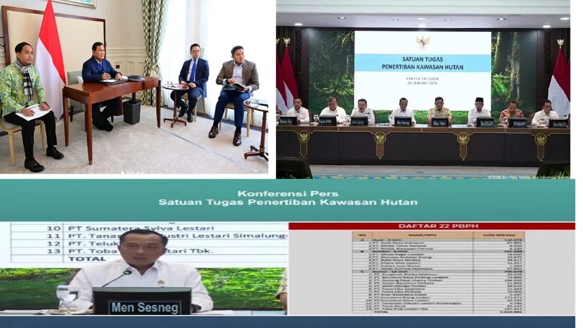 28 Perusahaan Di Aceh, Sumut dan Sumbar Dicabut Ijinnya Karena Investigasi