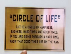 Circle of Life: Kehidupan Berputar antara Bahagia dan Sulit