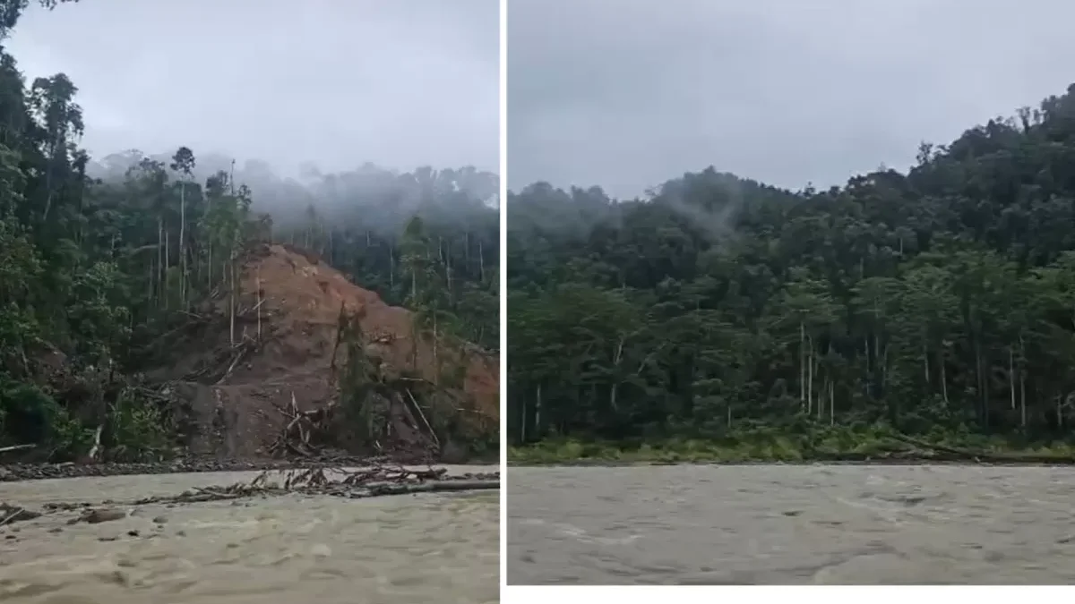 Hutan yang Kembali Tumbuh, Sungai yang Tetap Menghidupi Hutan yang Kembali Tumbuh, Sungai yang Tetap Menghidupi