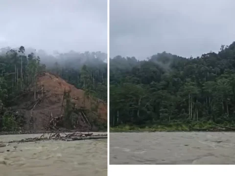 Hutan yang Kembali Tumbuh, Sungai yang Tetap Menghidupi