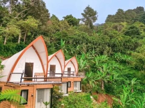 Burnout Recovery Retreat Bogor Warga Jabodetabek