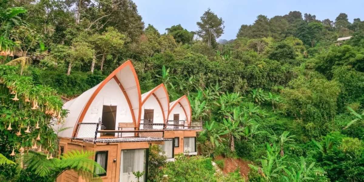 Burnout Recovery Retreat Bogor