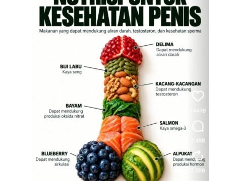 Nutrisi untuk Kesehatan Penis: 7 Makanan yang Mendukung Aliran Darah, Hormon, dan Kualitas Sperma Nutrisi untuk Kesehatan Penis: 7 Makanan yang Mendukung Aliran Darah, Hormon, dan Kualitas Sperma